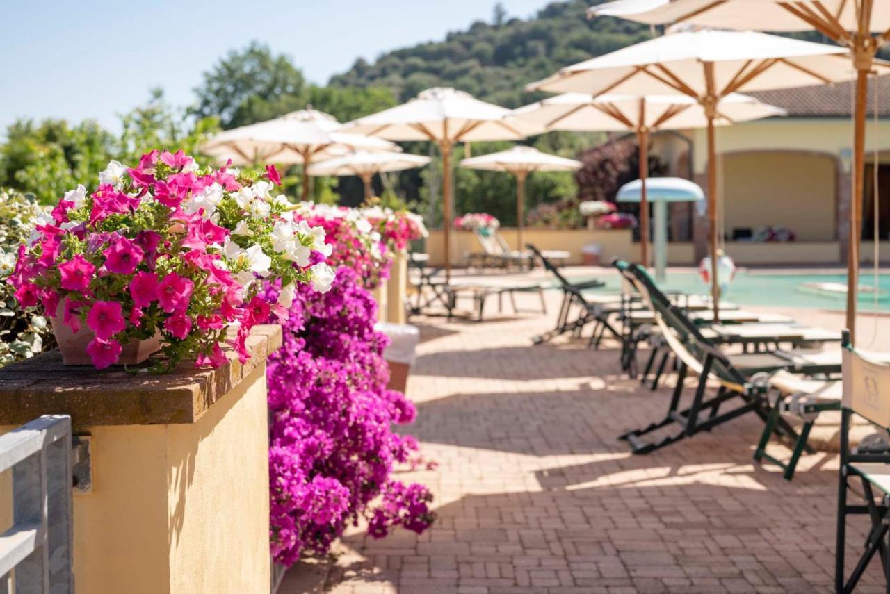 Oasimaremma Village