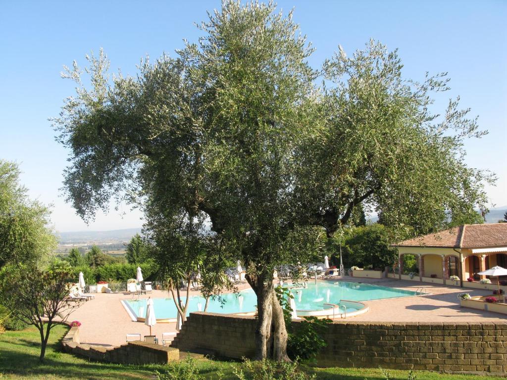 Oasimaremma Village Holiday park